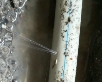 昌图卫生间测漏水多少钱